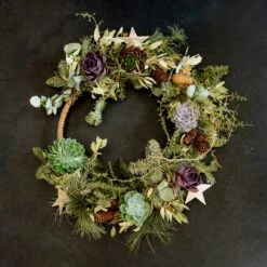 Schnittecheverien-Mix, Ø 5 Cm, 12er-Set -Stilvoller Gartenbedarfsladen 0250103364 Echeveria Mix 7 10cm in DIY Box 5 117175