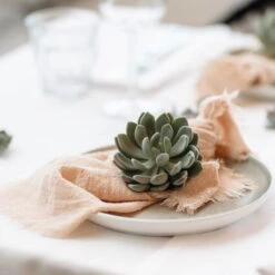 Schnittecheverien-Mix, Ø 10 Cm, 6er-Set 11 Schnittecheverien-Mix, Ø 10 Cm, 6er-Set -Stilvoller Gartenbedarfsladen 0250103364 Echeveria Mix 7 10cm in DIY Box 7 117173 1