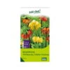 Kaiserkrone (Fritillaria) 3-Farben Mischung, 5 Blumenzwiebeln
