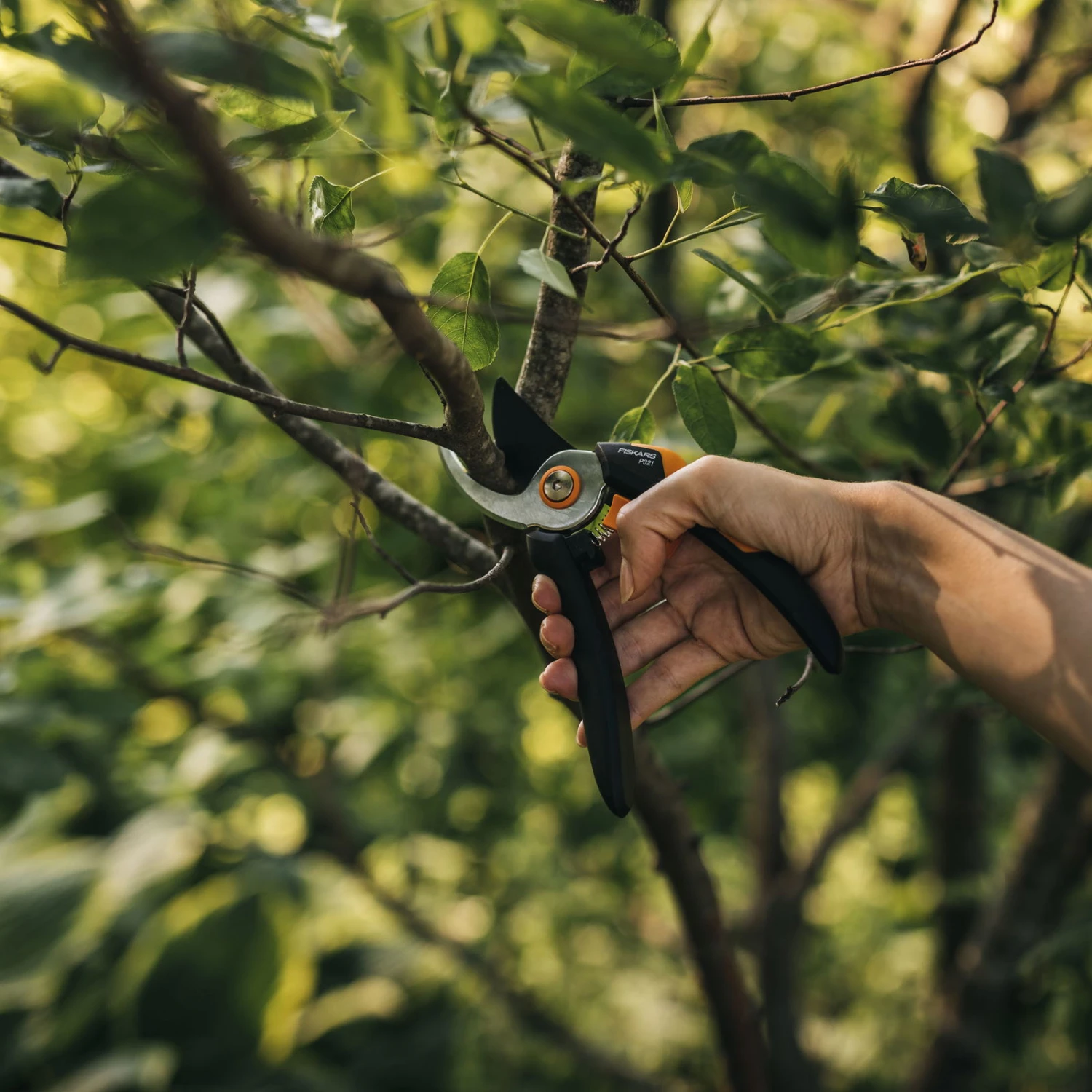 Fiskars Bypass-Schere 'Solid', Schwarz/orange 2 Fiskars Bypass-Schere 'Solid', Schwarz/orange – Bild 2