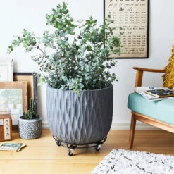 Multi Roller GH 0934, Tragkraft 100 Kg, Schwarz, Ca. 10 X 38 X 38 Cm -Stilvoller Gartenbedarfsladen 0920600510 multi roller stahl schwarz 3 116708