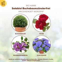 Solabiol Buchsbaumzünsler-Schutz, 50 Ml -Stilvoller Gartenbedarfsladen 0950200746 Solabiol Buchsbaumzuensler Schaedlingsfrei 50ml 1 107236