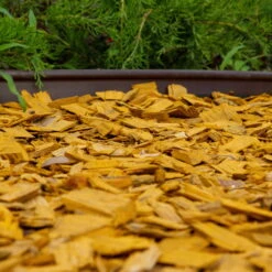 Plantop Dekormulch Goldgelb, 1950 L Gesamt, 39 Sack á 50 Liter -Stilvoller Gartenbedarfsladen 0960 mulch gelb 125177