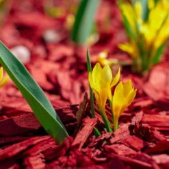 Plantop Dekormulch Ziegelrot, 1950 L Gesamt, 39 Sack á 50 Liter -Stilvoller Gartenbedarfsladen 0960 mulch rot 125176