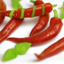 Blu Bio Snack-Chili, Mittelscharf, Topf-Ø 12 Cm, 3er-Set -Stilvoller Gartenbedarfsladen 1620330094 Blu Bio Snack Chilli mittelscharf 3er Set 5 109489
