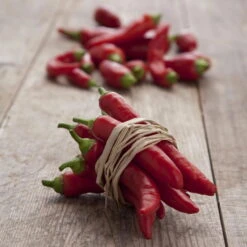 Blu Bio Chilipflanze Zwerg-Chili, Topf-Ø 12 Cm, 3er Set -Stilvoller Gartenbedarfsladen 1620330132 Blu Bio Zwerg Chili mit Fruechte T12 3er Set extra scharf 12 124310