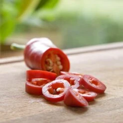 Blu Bio Chilipflanze Zwerg-Chili, Topf-Ø 12 Cm, 3er Set -Stilvoller Gartenbedarfsladen 1620330132 Blu Bio Zwerg Chili mit Fruechte T12 3er Set extra scharf 2 124305