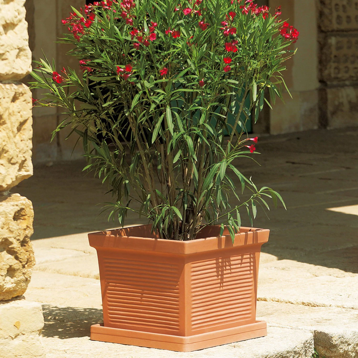 Euro 3 Plast Pflanzkübel Millerighe Terra 1 Euro 3 Plast Pflanzkübel Millerighe Terra