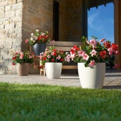 LECHUZA Pflanztopf 'Classico Color 60', Grau, Ø 60 X H 55,5 Cm 5 LECHUZA Pflanztopf 'Classico Color 60', Grau, Ø 60 X H 55,5 Cm -Stilvoller Gartenbedarfsladen 3210103919 Pflanzgefaess Classico Color 60 All in 1 schiefergrau 3 109198