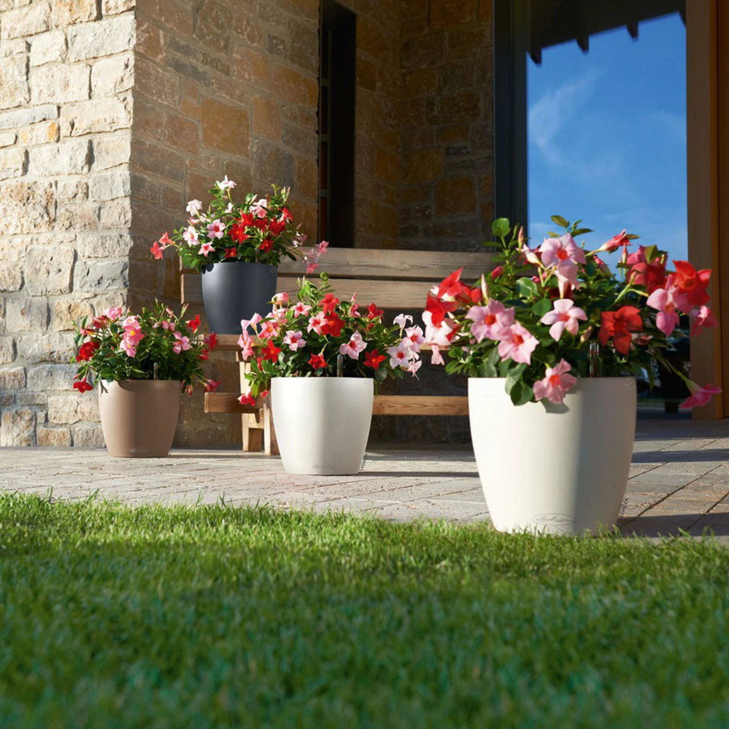 LECHUZA Pflanztopf 'Classico Color 60', Grau, Ø 60 X H 55,5 Cm 3 LECHUZA Pflanztopf 'Classico Color 60', Grau, Ø 60 X H 55,5 Cm – Bild 3