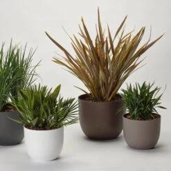 Pflanzkübel 'Rio', Taupe, Ø 34 X H 28 Cm -Stilvoller Gartenbedarfsladen 3210104130 3210104131 3210104132 3210104133 pflanzkuebel rio 122622