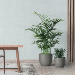 Pflanzkübel 'Rio', Taupe, Ø 34 X H 28 Cm -Stilvoller Gartenbedarfsladen 3210104133 pflanzkuebel rio 2 122629