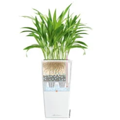 LECHUZA Cubico Premium 40, Weiß Hochglanz, All-in-One-Set, 40 X 40, H:75 Cm -Stilvoller Gartenbedarfsladen 3325100114 CubicoPremium22 weiss All in One Set 22x22x41cm RGB 7573