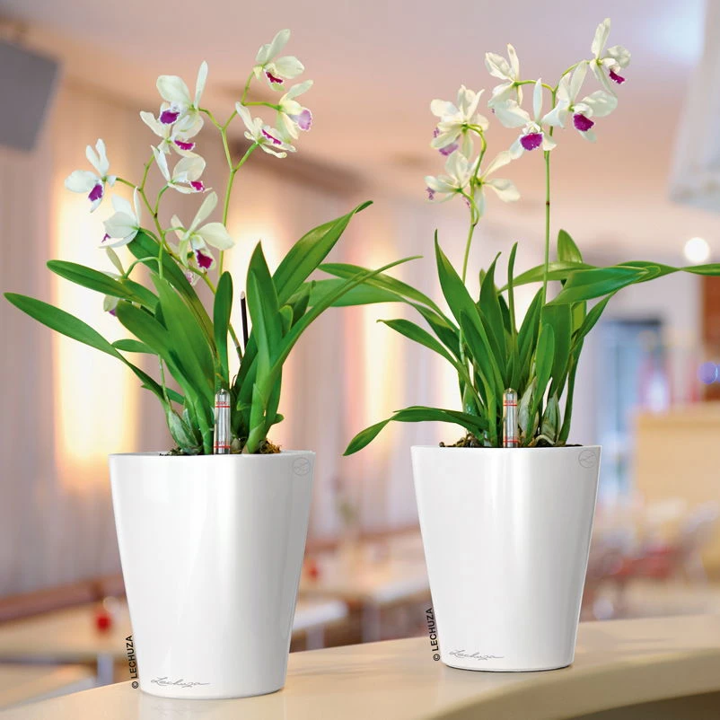 Lechuza Deltini Premium, Weiß Hochglanz, All-in-One-Set 1 Lechuza Deltini Premium, Weiß Hochglanz, All-in-One-Set